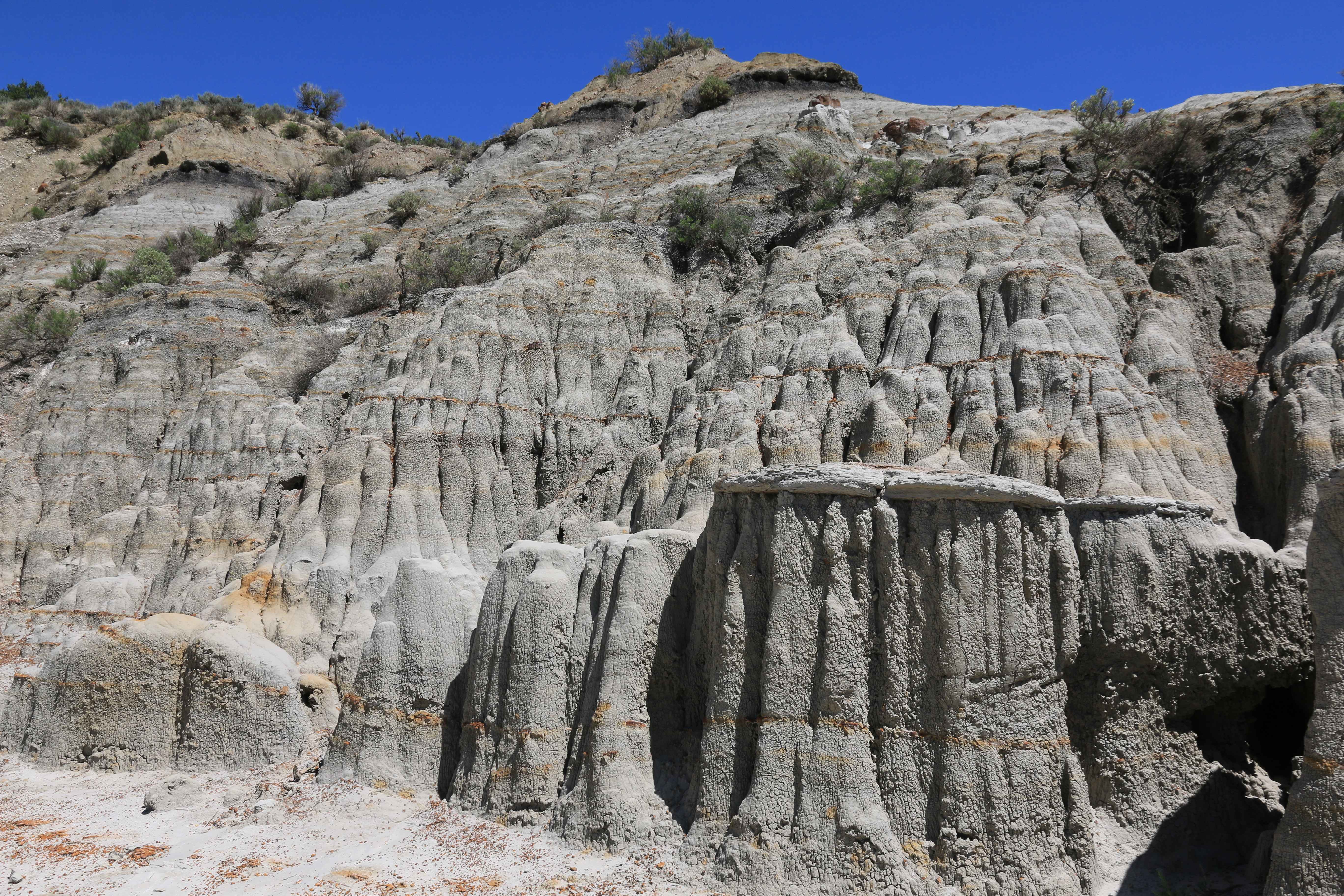 Theodore Roosevelt NP